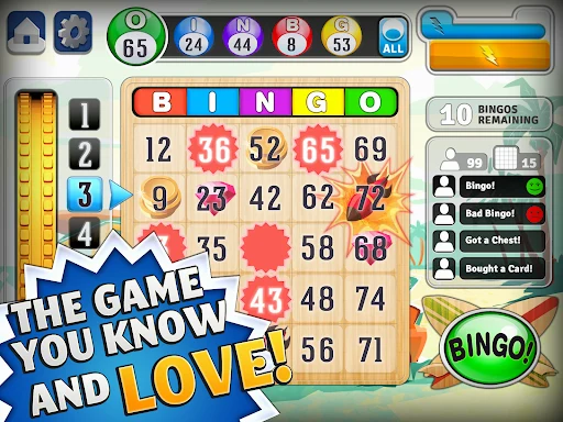 Bingo™ screen 5
